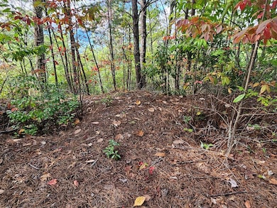 288 Deer Path Trail, Franklin, NC 28734 - photo 5