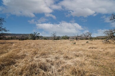 1 E Lower Crabapple Rd unit 1, Fredericksburg, TX 78624 - photo 3