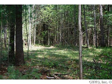 Land/Lot