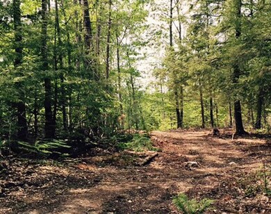 60A-05 Nature's Way, Bridgton, ME 04009 - photo 4