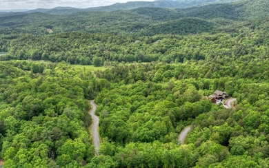 LT 34 Settler's Ridge Rd, Ellijay, GA 30540 - photo 7