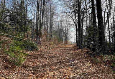 00 Parker Ave, St. Johnsbury, VT 05819 - photo 5