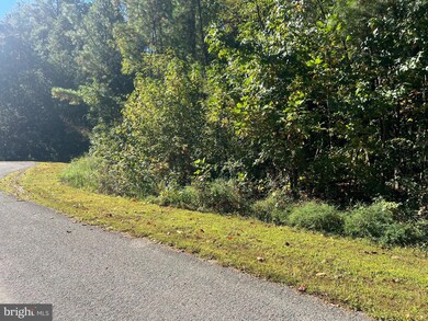 0 Cincinnati Place unit VALA2008546, Mineral, VA 23117 - photo 3