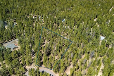 7-web-or-mls-4-28-25 51861 Knob Cone La