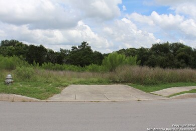 23626 Verde River, San Antonio, TX 78255 - photo 3