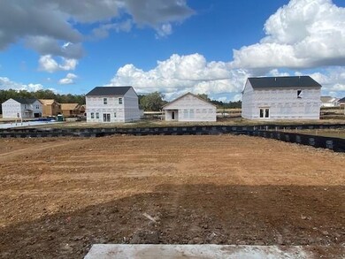 Murray Lot 14 Backyard