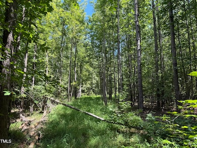 Lot 2 Stonehouse Ct, Franklinton, NC 27525 - photo 4