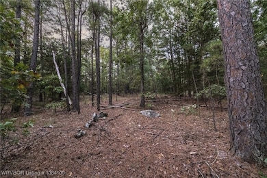 TBD NE 120th Rd, Red Oak, OK 74563 - photo 3