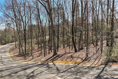 125 Summer Rd, Clarkesville, GA 30523 - photo 3