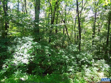 4 Laurel Ct unit LAUREL RIDGE 99, Nellysford, VA 22958 - photo 4