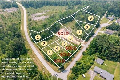 Stately Pines Aerial 2 KK
