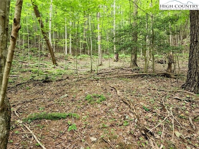 Tbd Brightwood Trail, Deep Gap, NC 28618 - photo 7