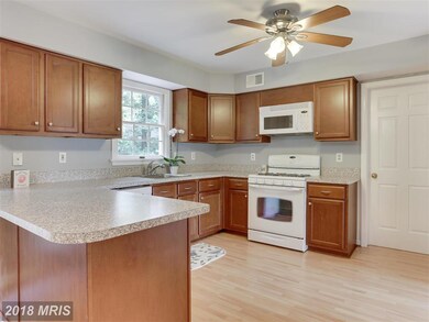 17409 Rio Dulce Ct, Olney, MD 20832 - photo 6