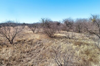 TBD Goldfinch Ln, Weatherford, TX 76088 - photo 2