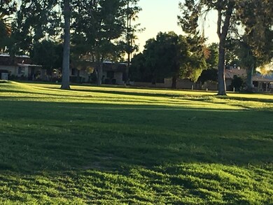 10113 W Ironwood Dr, Sun City, AZ 85351 - photo 5