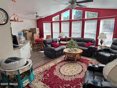 2172 Hashknife Dr, Overgaard, AZ 85933 - photo 7