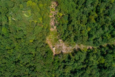 38 Fire Tower Rd, West Tisbury, MA 02568 - photo 5