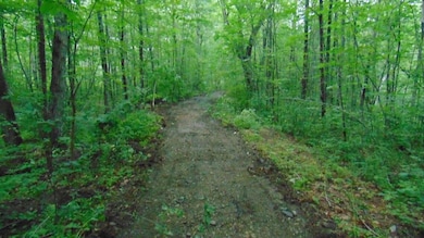 Lot 11 Easy St, Lincoln, ME 04457 - photo 3