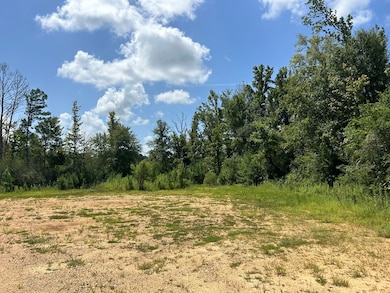 TBD Hwy 570 River Road N Shell Oil Rd, Summit, MS 39666 - photo 4