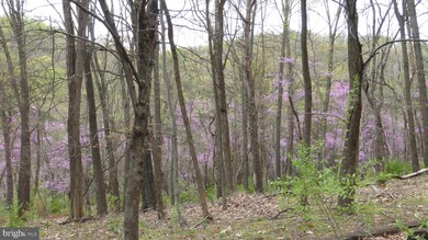 0 Settlers Valley Way unit WVHD105068, Lost River, WV 26810 - photo 2