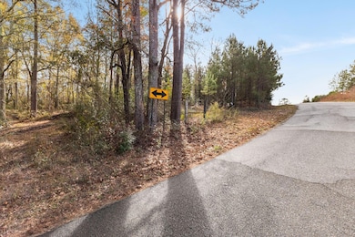 0 Phillips Rd, Sumrall, MS 39482 - photo 3