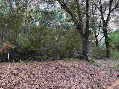 00 Blackmon Rd, Red Level, AL 36421 - photo 2