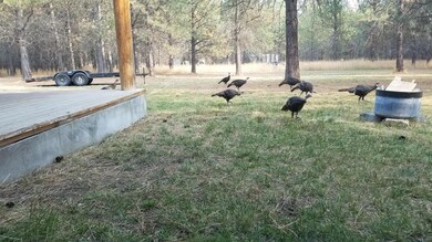 210 Lore Lake Rd, Kalispell, MT 59901 - photo 4