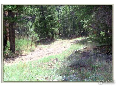 0 Whale Rock Rd unit 720548, Bellvue, CO 80512 - photo 3