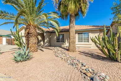 Desert landscaping