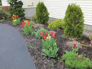 Yard/Garden.