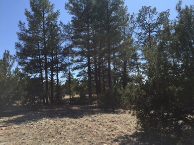 0 Linden unit 219720, Show Low, AZ 85901 - photo 6