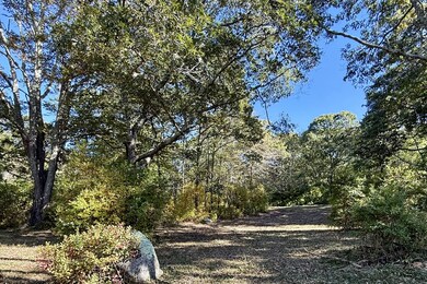 1 Crowberry Ln unit 19, Chilmark, MA 02535 - photo 6