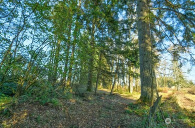 168 Racyn Ln, Winlock, WA 98596 - photo 7