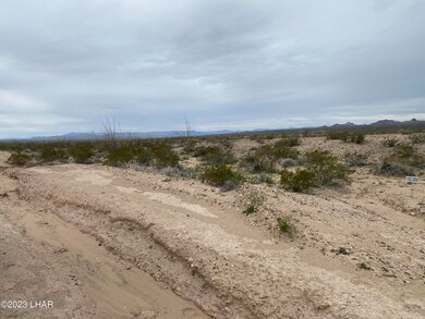 3079 S Golden Spike Rd, Yucca, AZ 86438 - photo 4