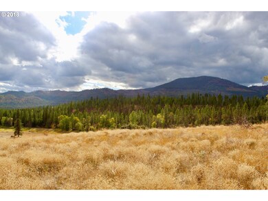 2034 Dry Creek Rd, Chewelah, WA 99109 - photo 3