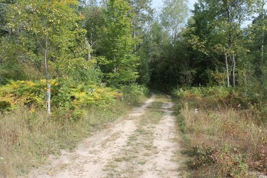 Orchard Trail, looking N