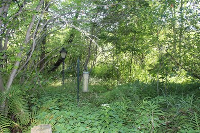 Natures Habitat