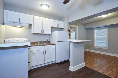 1419 Hawthorne St unit 29, Houston, TX 77006 - photo 7