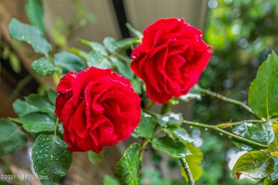 5207 Magnolia Oaks Ln, Jacksonville, FL 32210 - photo 6