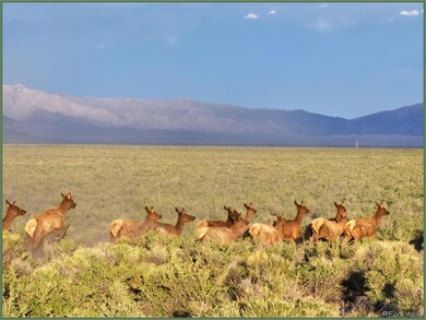 8397 Ln 2 N, Sand Dunes Mo, CO 81101 - photo 2
