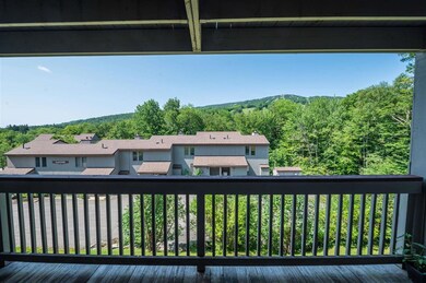 17F Snow Tree Ln unit Ledges F, Dover, VT 05356 - photo 2