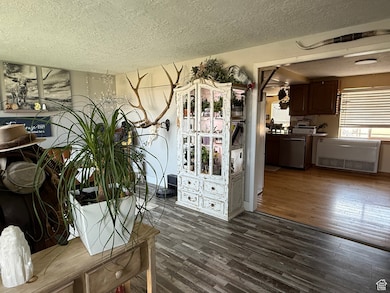 Dining space with a textured ceiling and dark wood finished floors