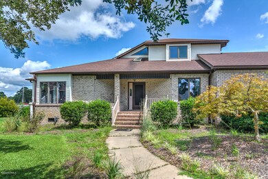 908 Hawksbill-3