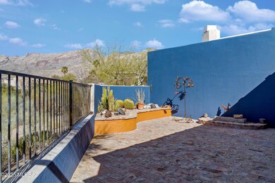 Backyard (7)