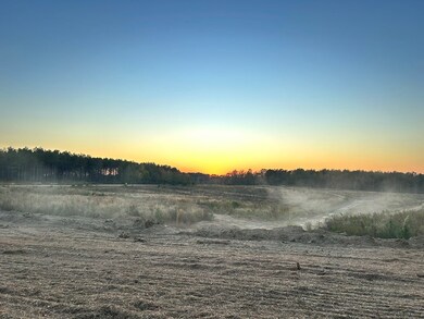 unlisted-address, Liberty, MS 39645 - photo 5