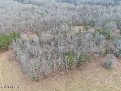DJI_0084.DNG