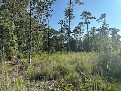 00 Hwy 111 South Tract 1, Cairo, GA 39828 - photo 3