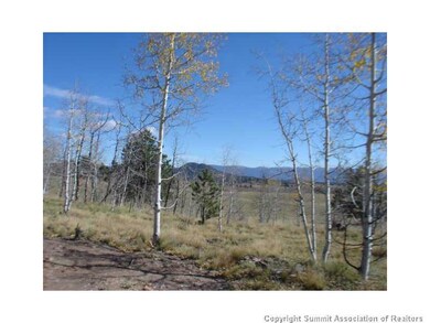 3676 Buffalo Ridge Rd, Como, CO 80432 - photo 2