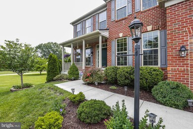 4707 Barnum Ln, Alexandria, VA 22312 - photo 5