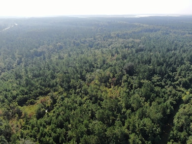 00 Hwy #32 Hwy #99 Tract 1, Brunswick, GA 31523 - photo 5